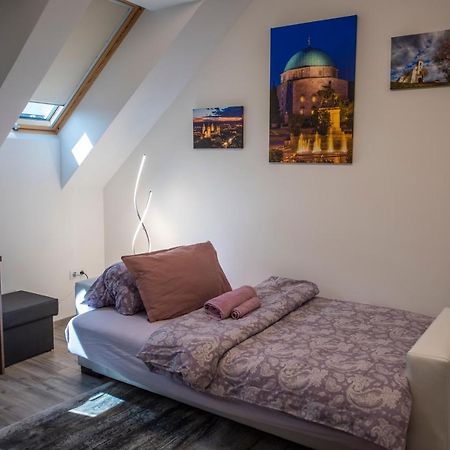 Zsuka Apartman Free Parking Pécs Kültér fotó