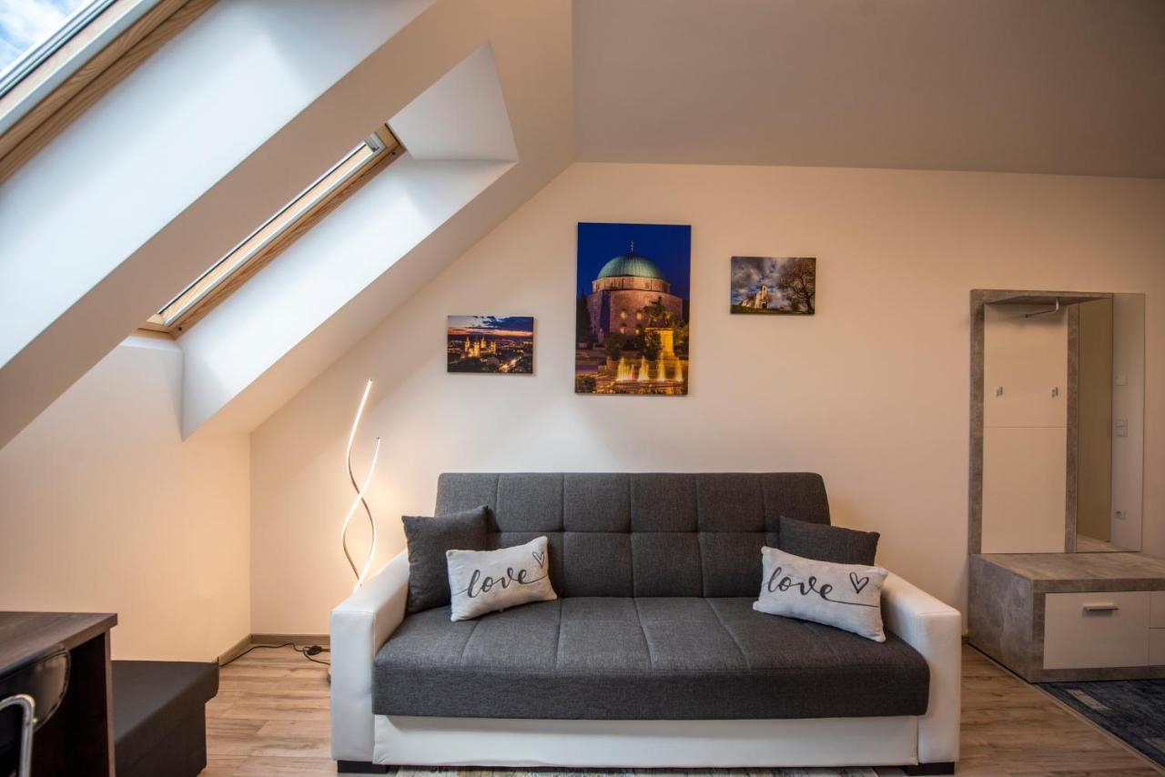 Zsuka Apartman Free Parking Pécs Kültér fotó